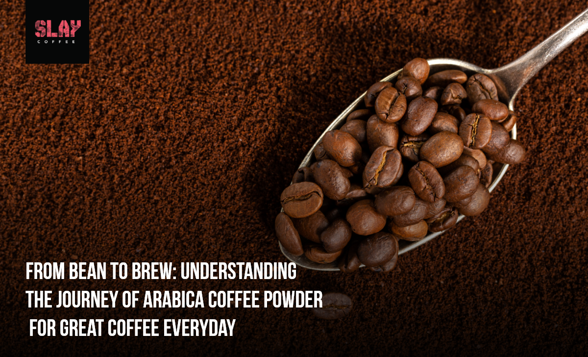 From Bean To Brew: Understanding The Journey Of Arabica Coffee Powder ...